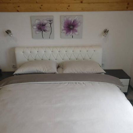 Guest House Jagoda Rakovica Dış mekan fotoğraf