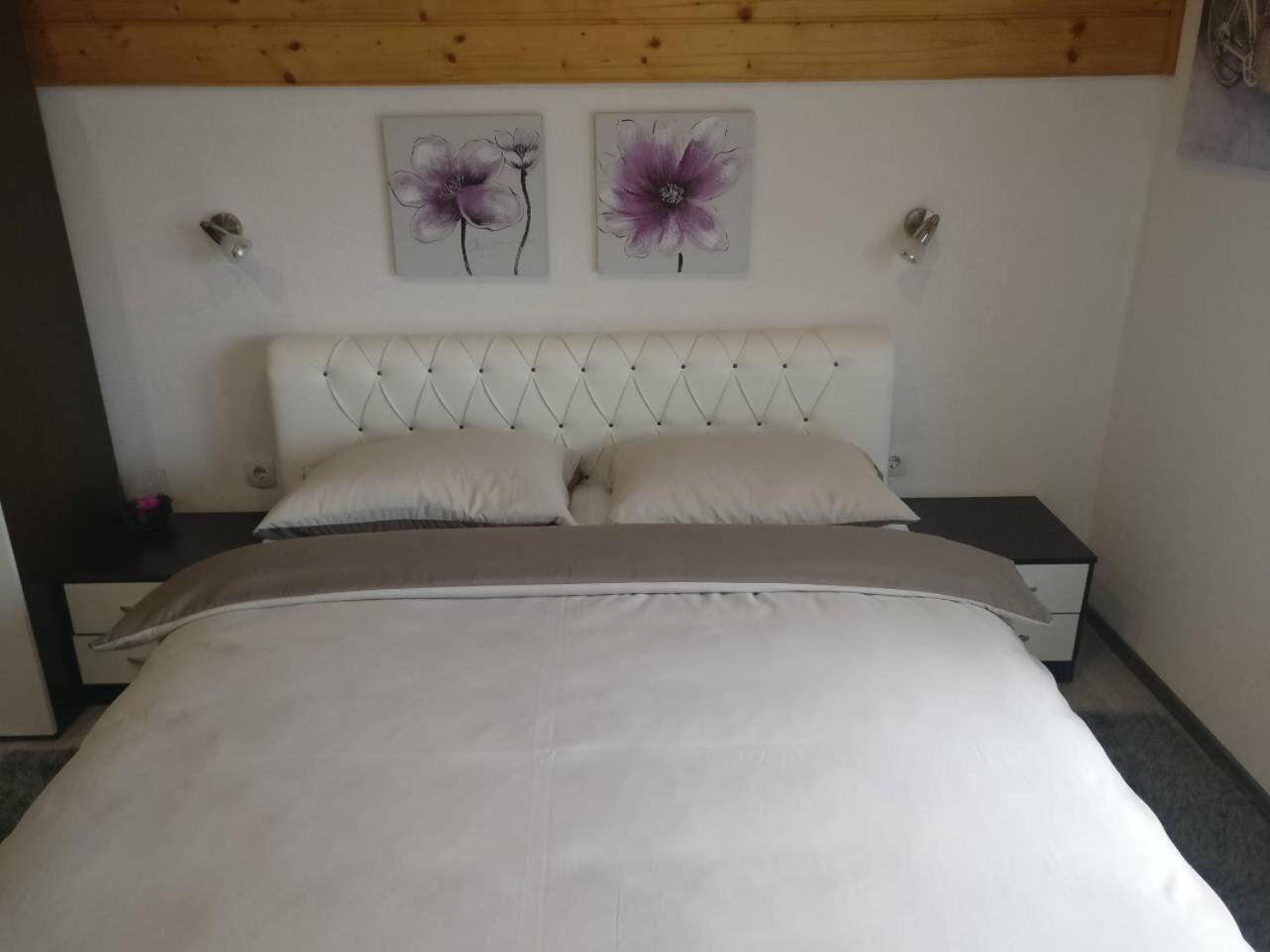 Guest House Jagoda Rakovica Dış mekan fotoğraf